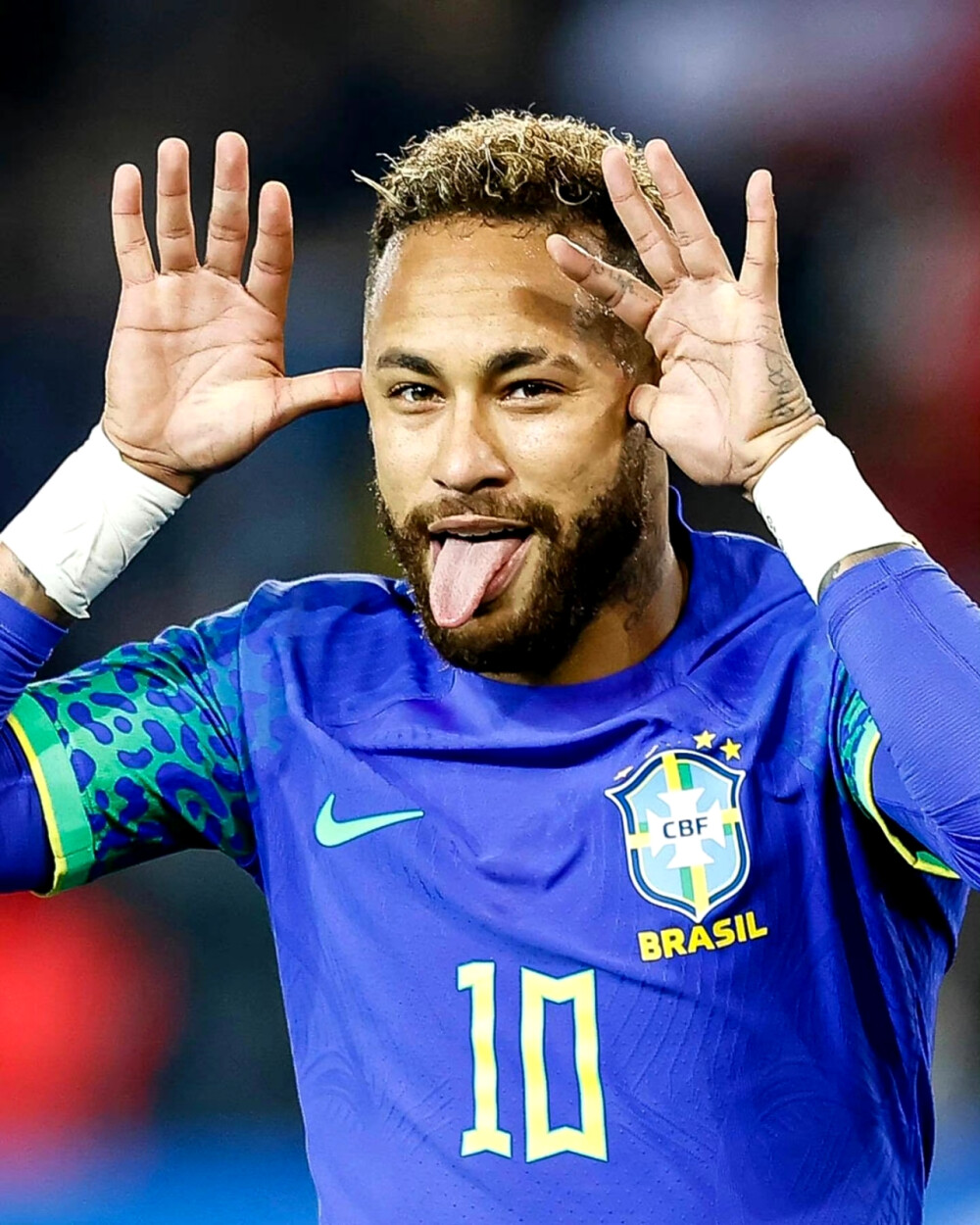 体育十四运 体育十四运